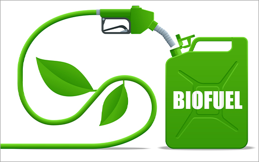 Multibagger Biofuel Stock Hits All-Time High. Zooms 10% on Massive Biodiesel Tender