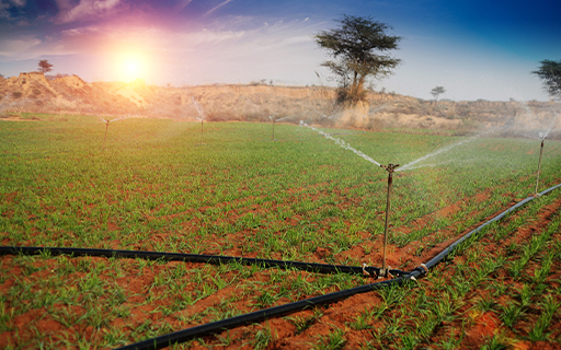 Why Jain Irrigation Share Price is Rising