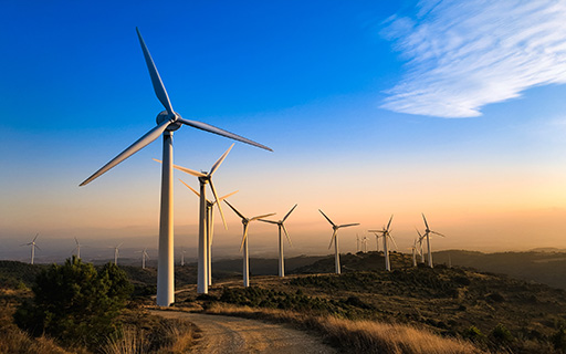 A Smallcap Proxy Stock Riding the Rise of Wind Energy in India