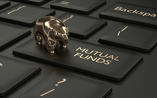 Top 5 Smallcap Stocks with Highest Mutual Fund Holding