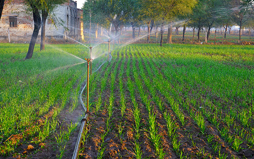 Why Jain Irrigation Systems Share Price is Rising