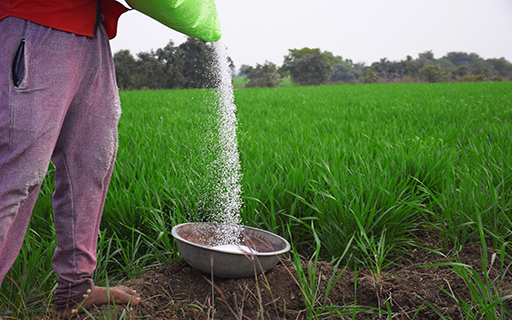 Which Companies Manufacture Fertilizers in India?