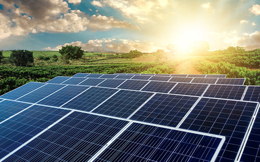 How Trump's Policies Could Disrupt These 5 Indian Solar Panel Stocks