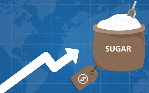 Why Shree Renuka Sugars Share Price is Rising